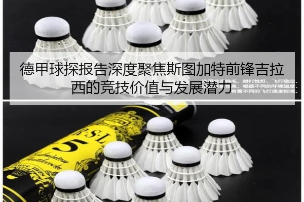 de-jia-qiu-tan-bao-gao-shen-du-ju-jiao-si-tu-jia-te-qian-feng-ji-la-xi-de-jing-ji-jia-zhi-yu-fa-zhan-qian-li-2-556.jpg